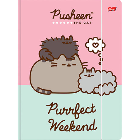 Teczka z Gumką A4 Pusheen 644597