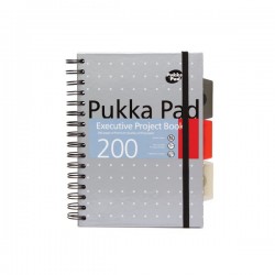 Kołozeszyt Puuka Pad A4 Project Book Metallic z Gumką